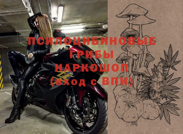 гашик Алексеевка