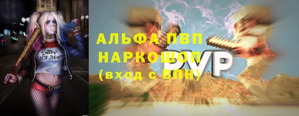 гашик Алексеевка