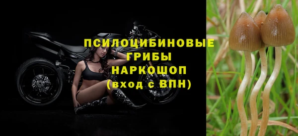 гашик Алексеевка
