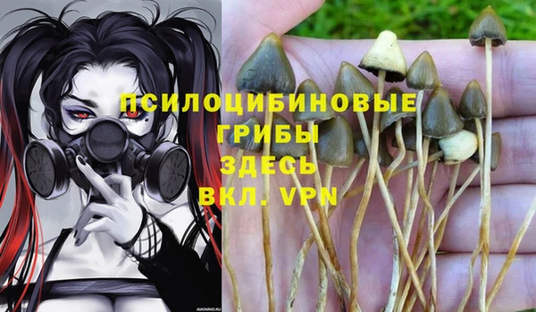 гашик Алексеевка