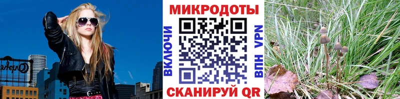 Галлюциногенные грибы мицелий  как найти наркотики  Алексеевка 